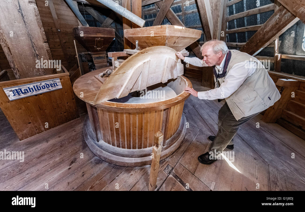 Braak, Germany. 13th May, 2016. Karl-Hermann Vahle, president of the Mill Association, inspects the grinder in the Braak windmill in Braak, Germany, 13 May 2016. The windmill is one of 52 wind and watermills open to the public on 16 May 2016, German Mills Day. Photo: Markus Scholz/dpa/Alamy Live News Stock Photo