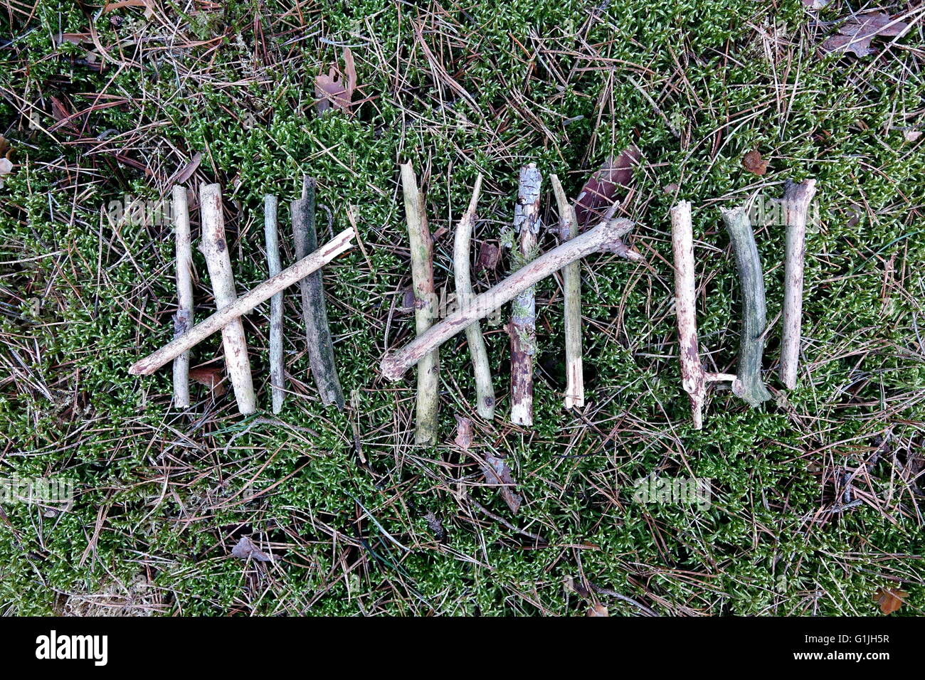 ILLUSTRATION . Thirteen sticks on a forest soil form a tally. The photo was taken on 11 March 2016. Photo: S. Steinach - NO WIRE SERVICE - Stock Photo