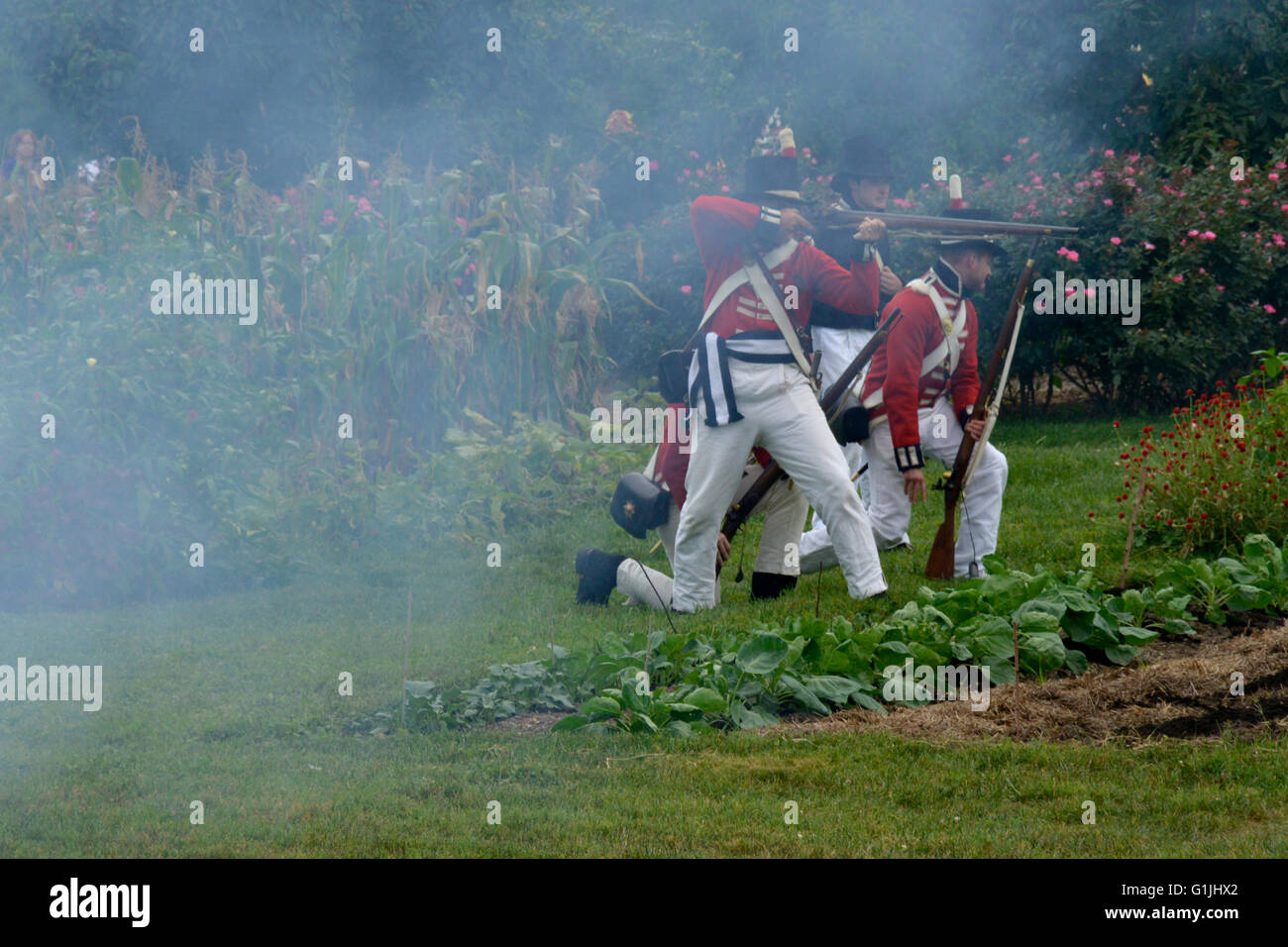 British troops firing at Battle of Bladensburg reenactment Stock Photo