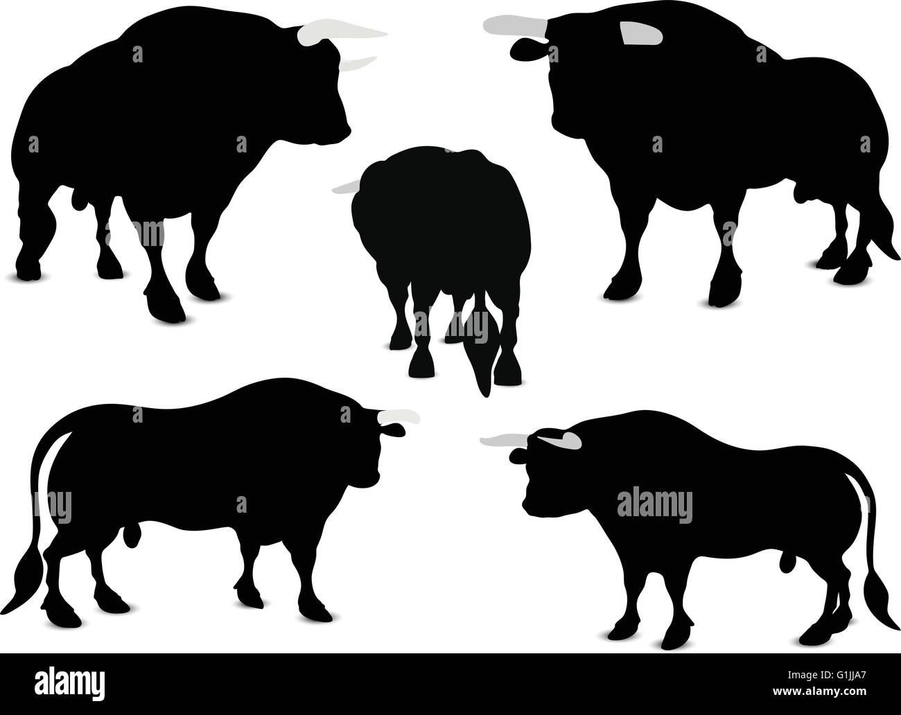 EPS 10 Vector illustration of Bull Silhouette Stock Vector Image & Art ...