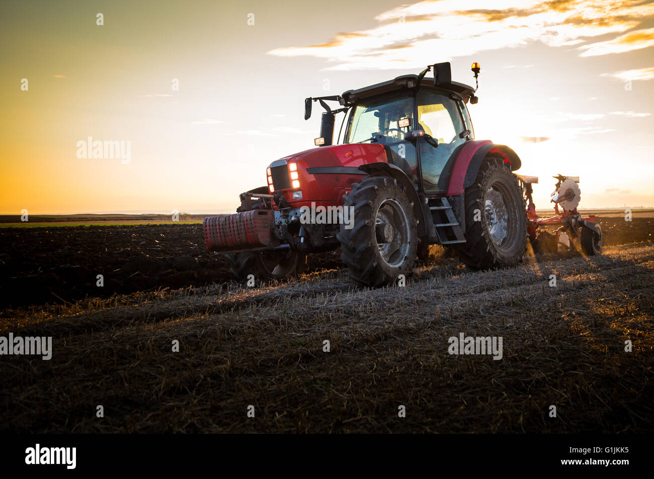 Soybean stubble hi-res stock photography and images - Alamy