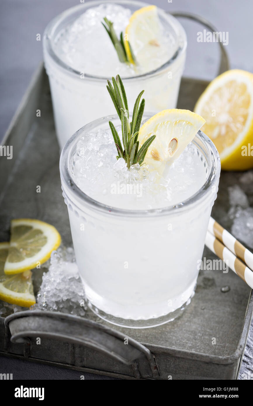 Lemon rosemary cocktail on a tray Stock Photo