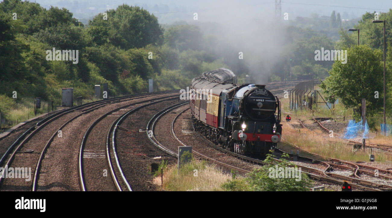 Tornado on the Cathedrals Express from Lewes to Salisbury Stock Photo