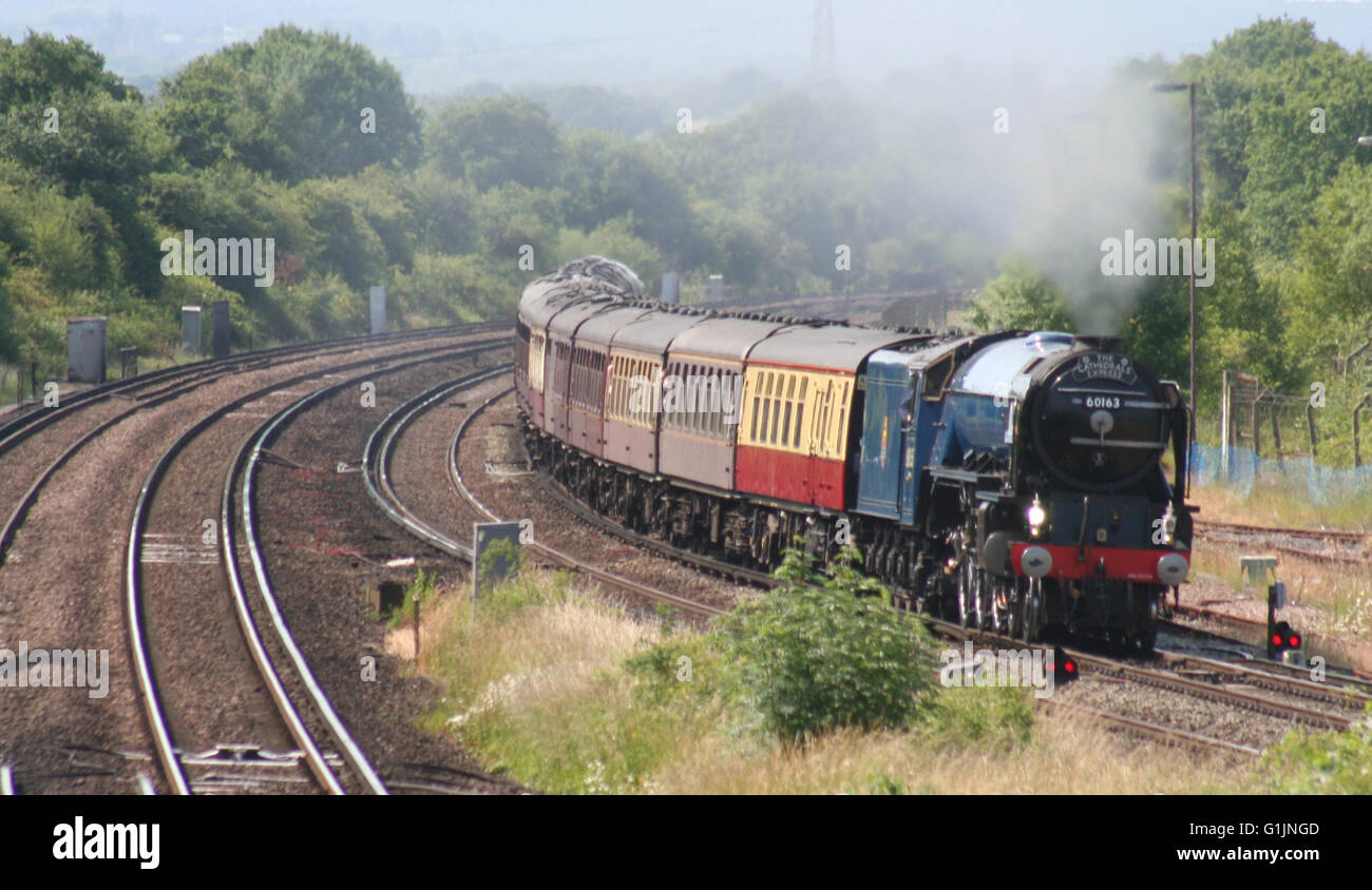 Tornado on the Cathedrals Express from Lewes to Salisbury Stock Photo