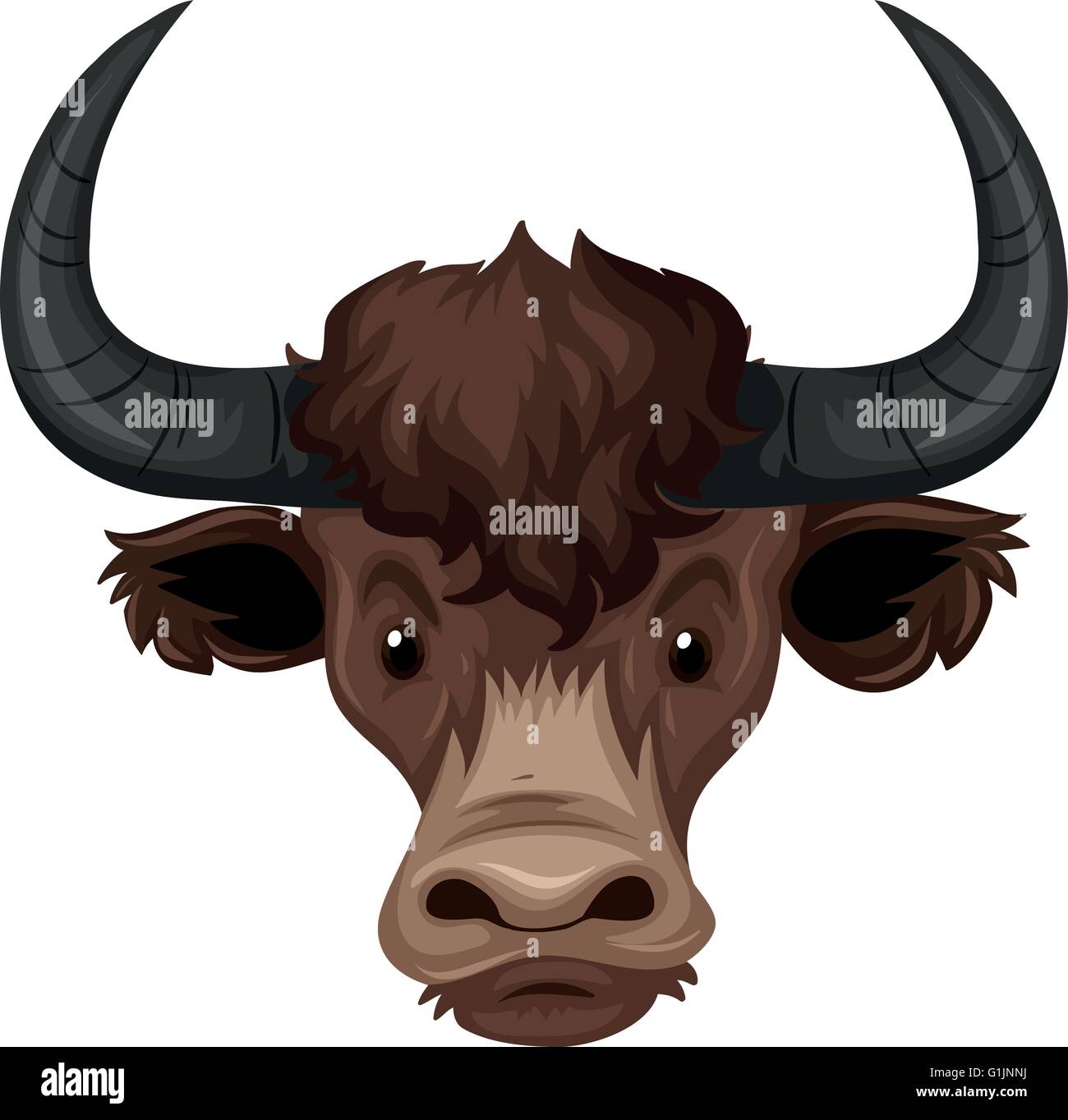Buffalo head on white background illustration Stock Vector Image & Art ...