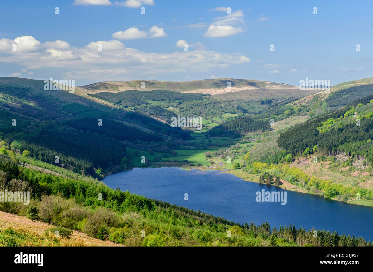 The Talybont Reservoir and Valley in the Brecon Beacons south Wales on a sunny Spring day Stock Photo