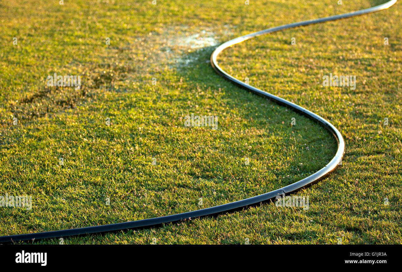 Watering hose on thirsty green grass Stock Photo Alamy