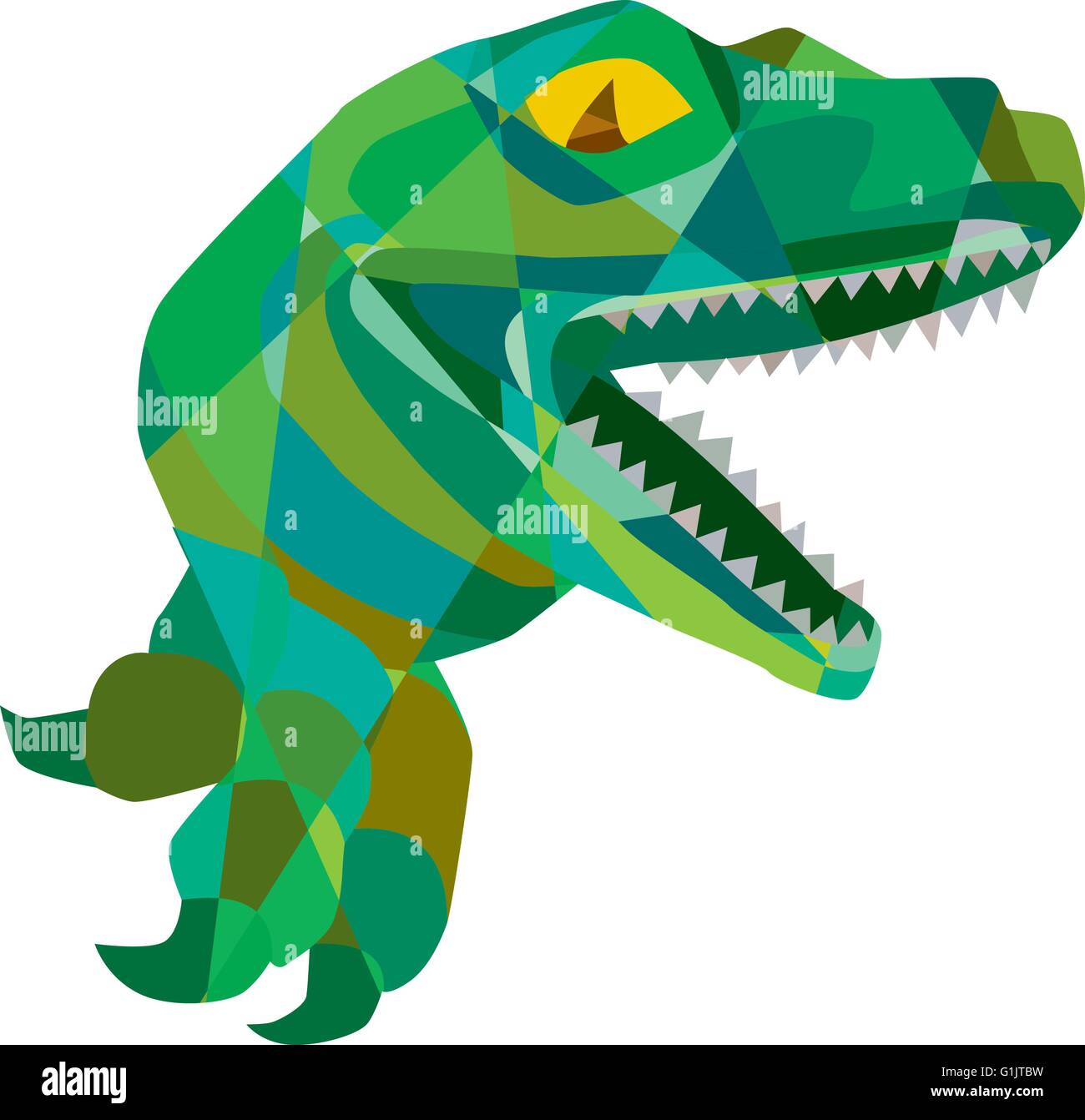 Low polygon style illustration of a raptor t-rex dinosaur lizard reptile breaking out of wall viewed from the side set on on isolated white background. Stock Vector