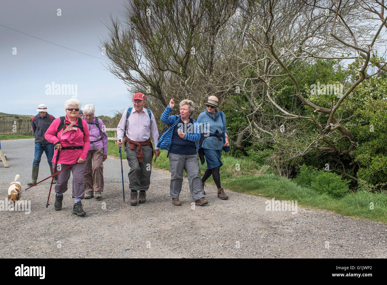 A group of walkers in Newquay, Cornwall. Stock Photo