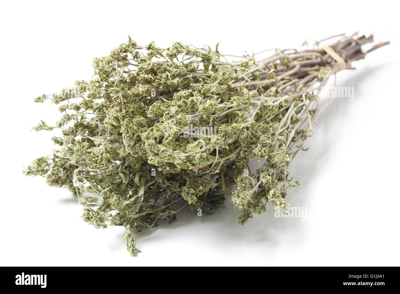 Dried bunch of a spice Savory isolated on white background. Stock Photo