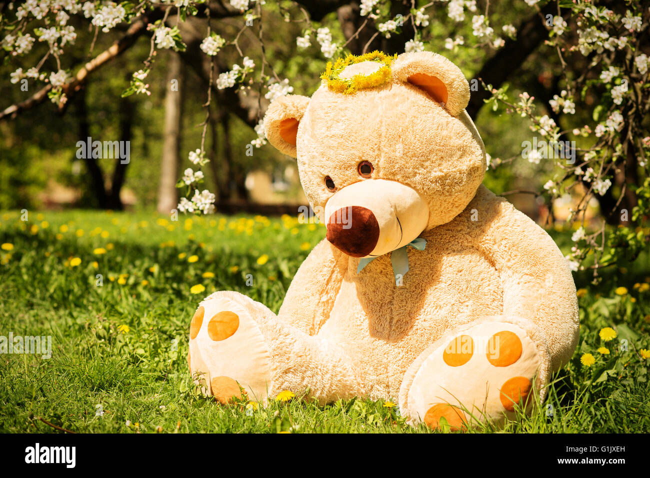big teddy bear sitting under blowing trees Stock Photo Alamy