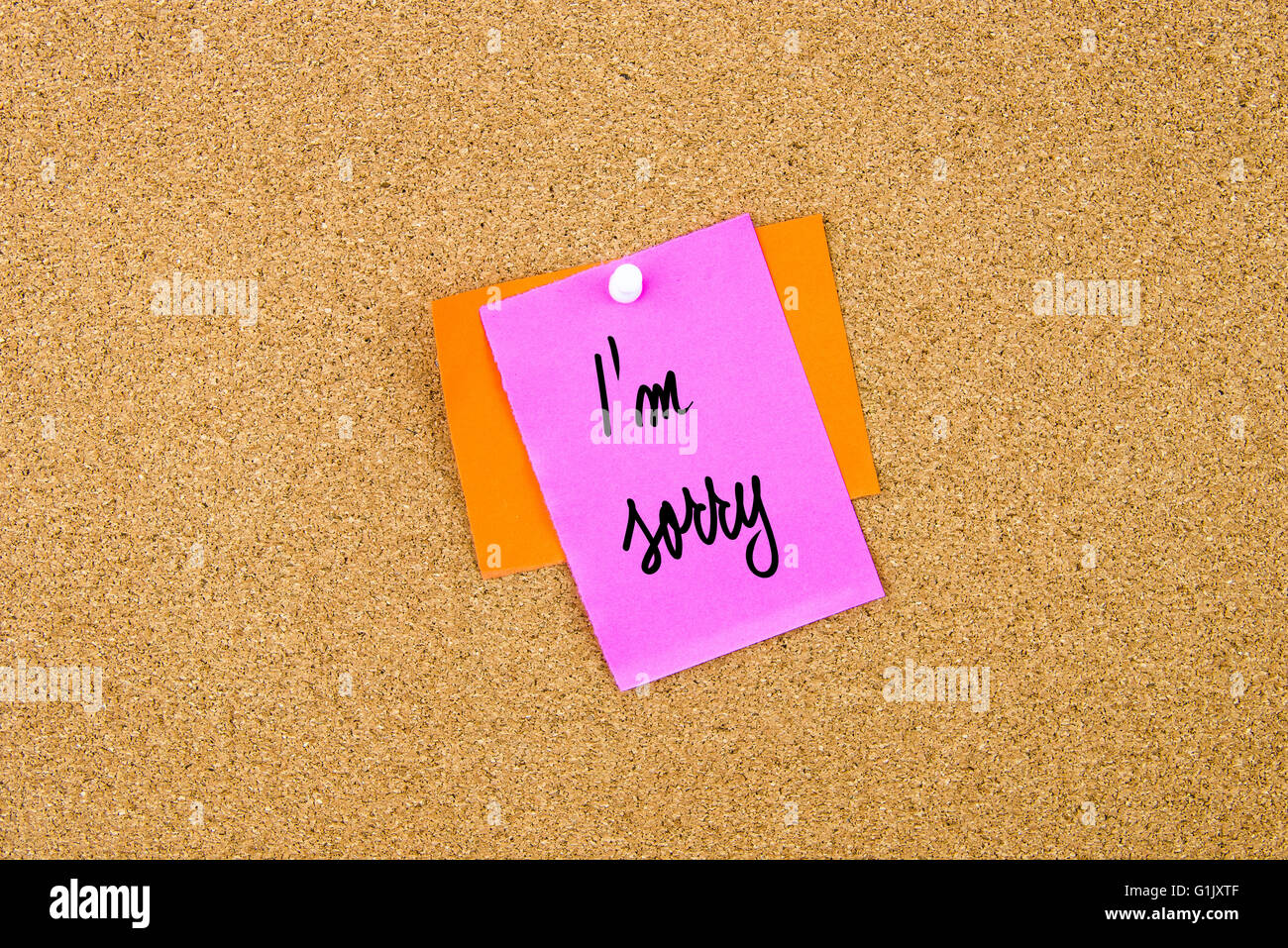 I Am Sorry written on paper note pinned on cork board with white thumbtack, copy space available Stock Photo