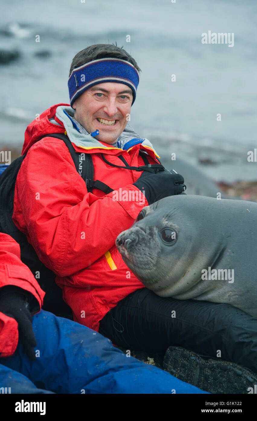Curious Elephant Seal pup with tourist, Antarctica Stock Photo
