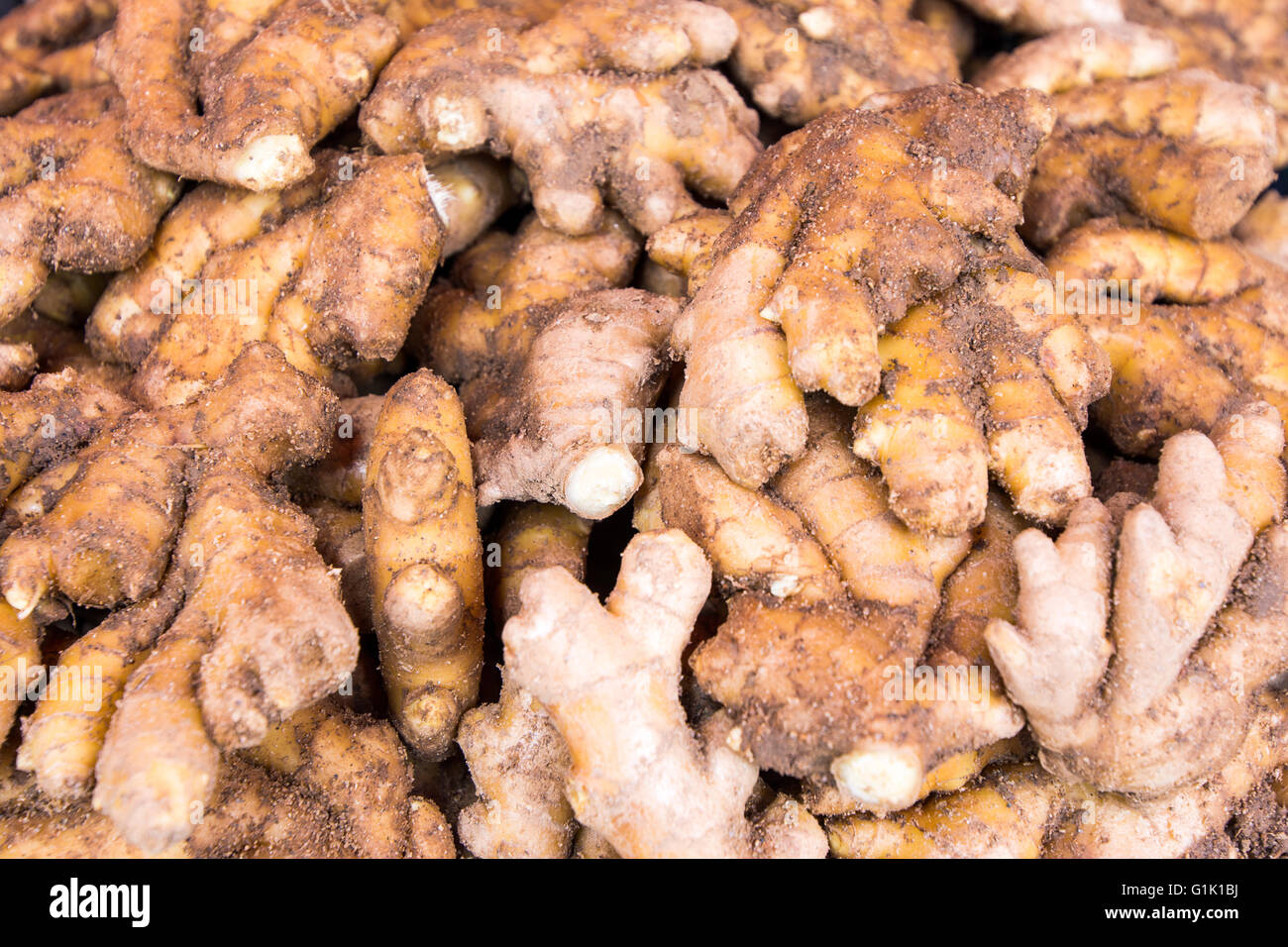 Large pile of fresh root ginger for sale at market Stock Photo