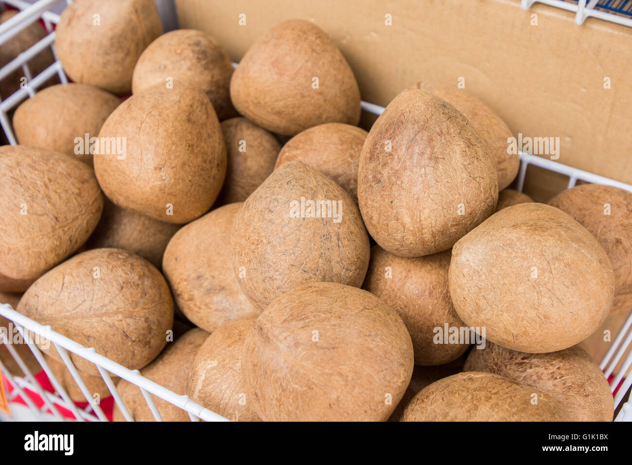 Collection of smooth coconuts in a metal basket Stock Photo
