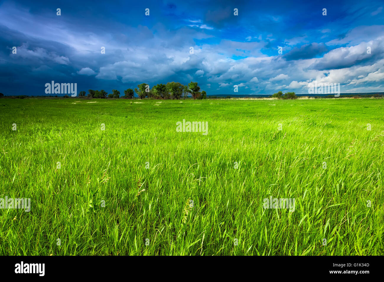 Meadow and stormy sky Stock Photo - Alamy