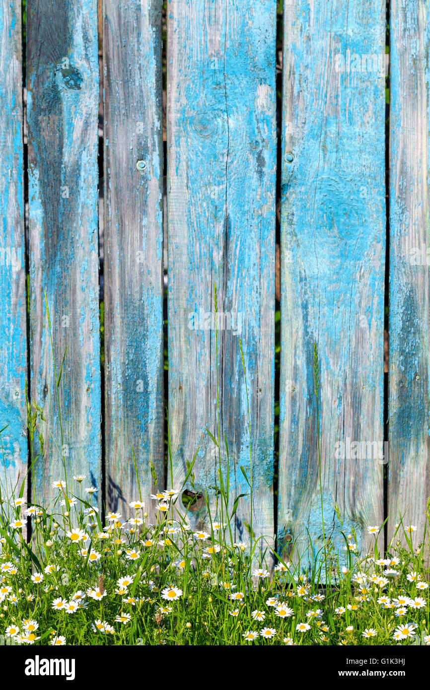 Old wooden fence flowers hi-res stock photography and images - Alamy