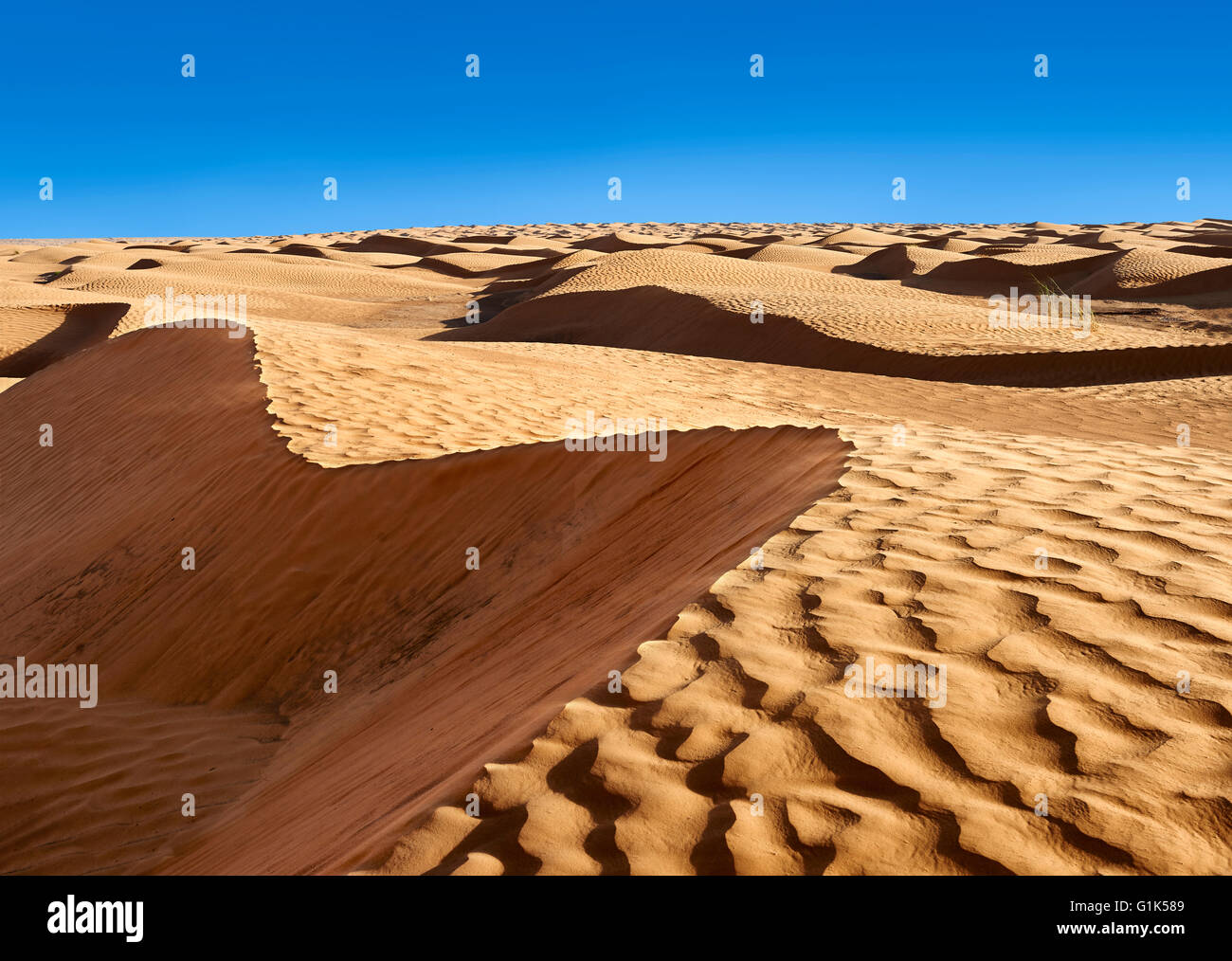 The Sahara desert sand dunes of Erg Oriental near the oasis of Ksar Ghilane, Tunisia, Africa Stock Photo