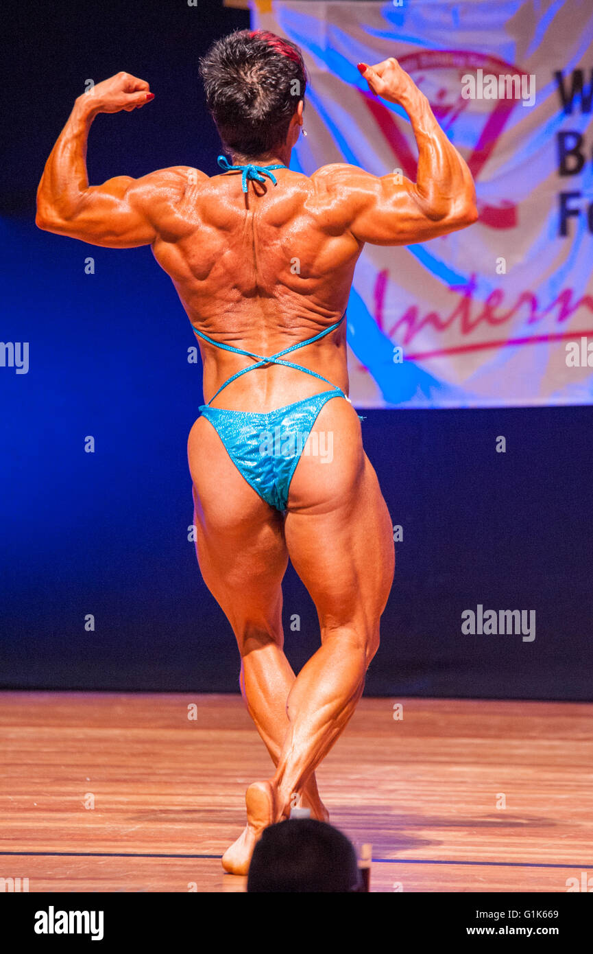 27 Best Backs in Bodybuilding History – Fitness Volt