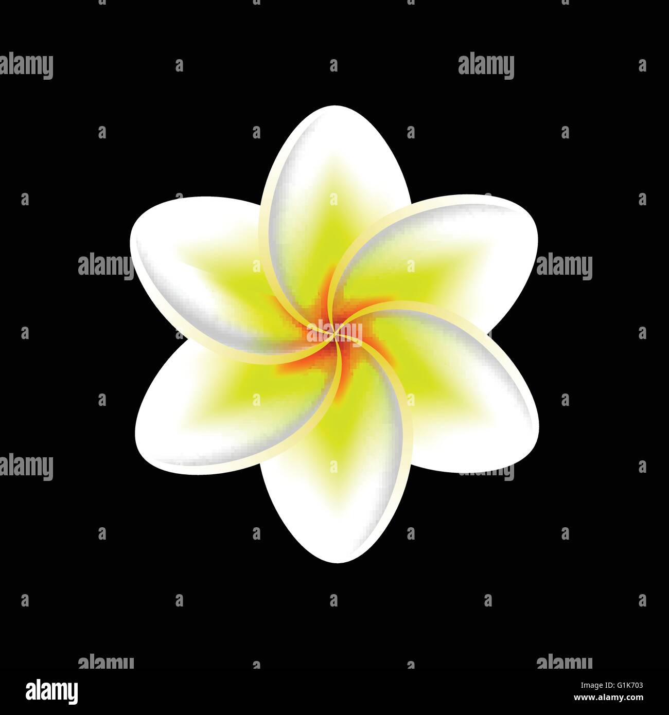 frangipani flower isolated Stock Vector Image & Art - Alamy