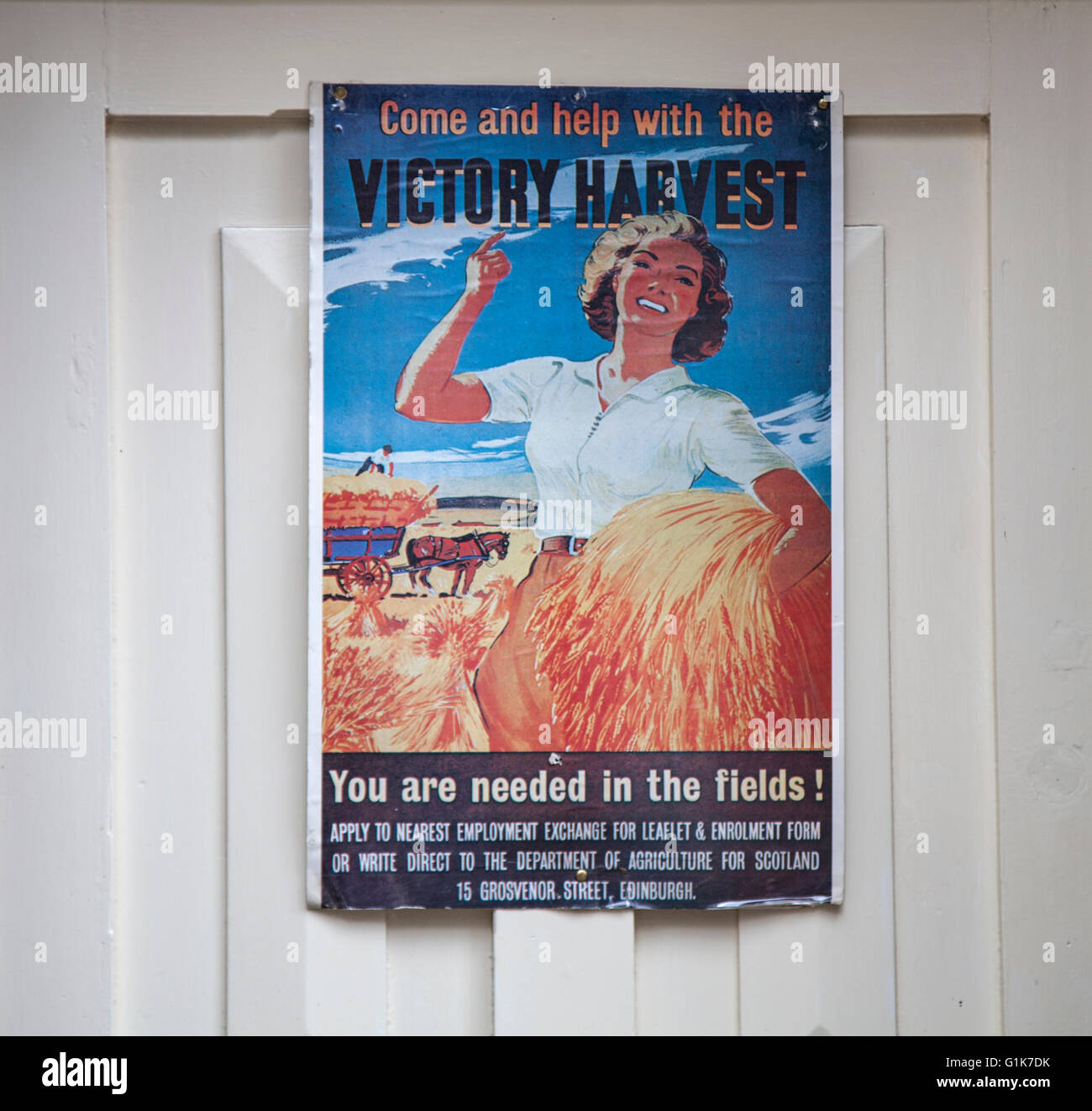 'You are needed in the fields' World War II, Second World War, WWII, WW2; Scottish Victory Harvest poster recruiting land girls on a doorway in the village of Haworth, Yorkshire, UK Stock Photo