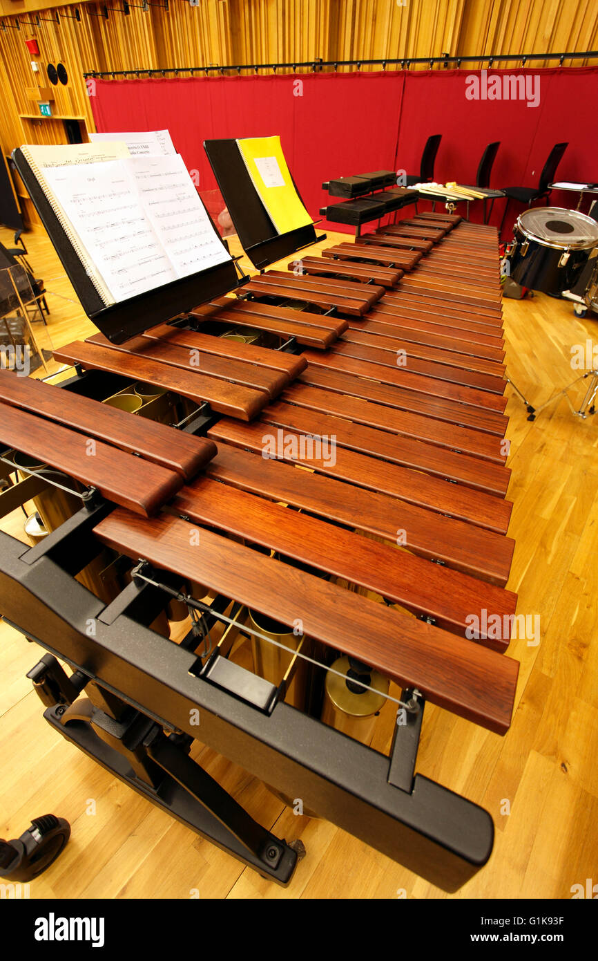 5 octave Marimba. A tuned percussion instrument with wooden bars