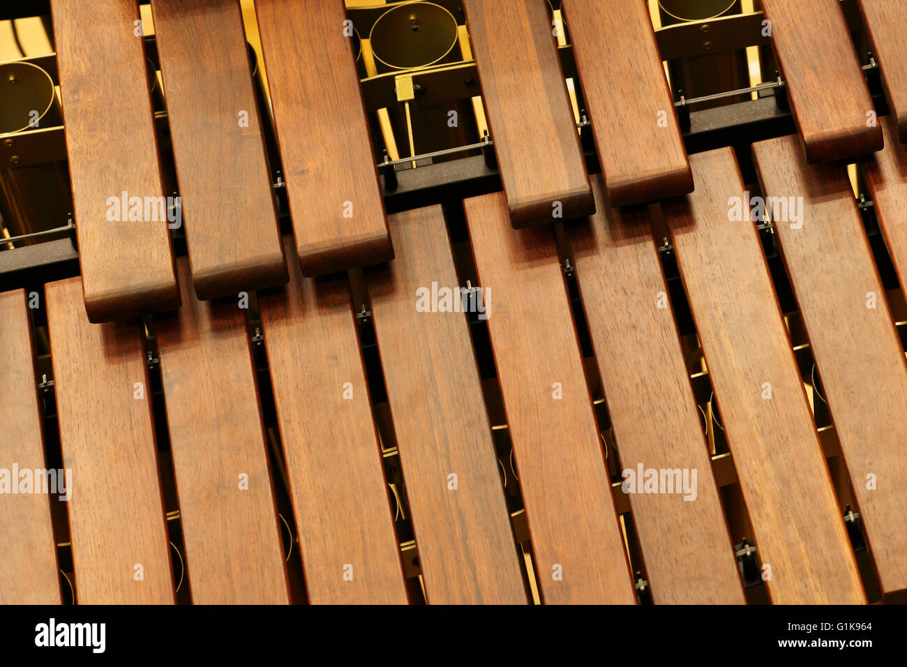 5 12 octave marimba