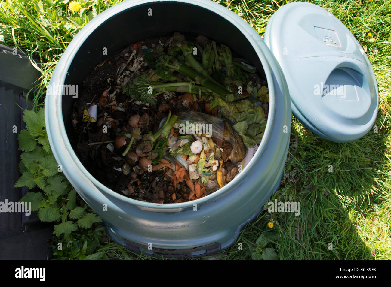 Interior of a plastic compost bin for home use with food scraps and