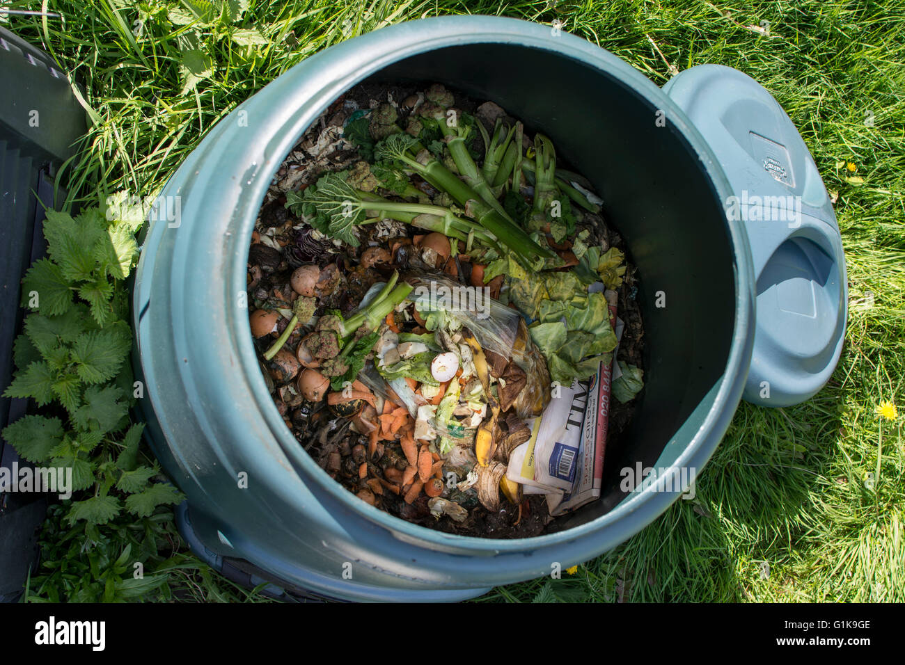 Interior of a plastic compost bin for home use with food scraps and garden waste inside Stock