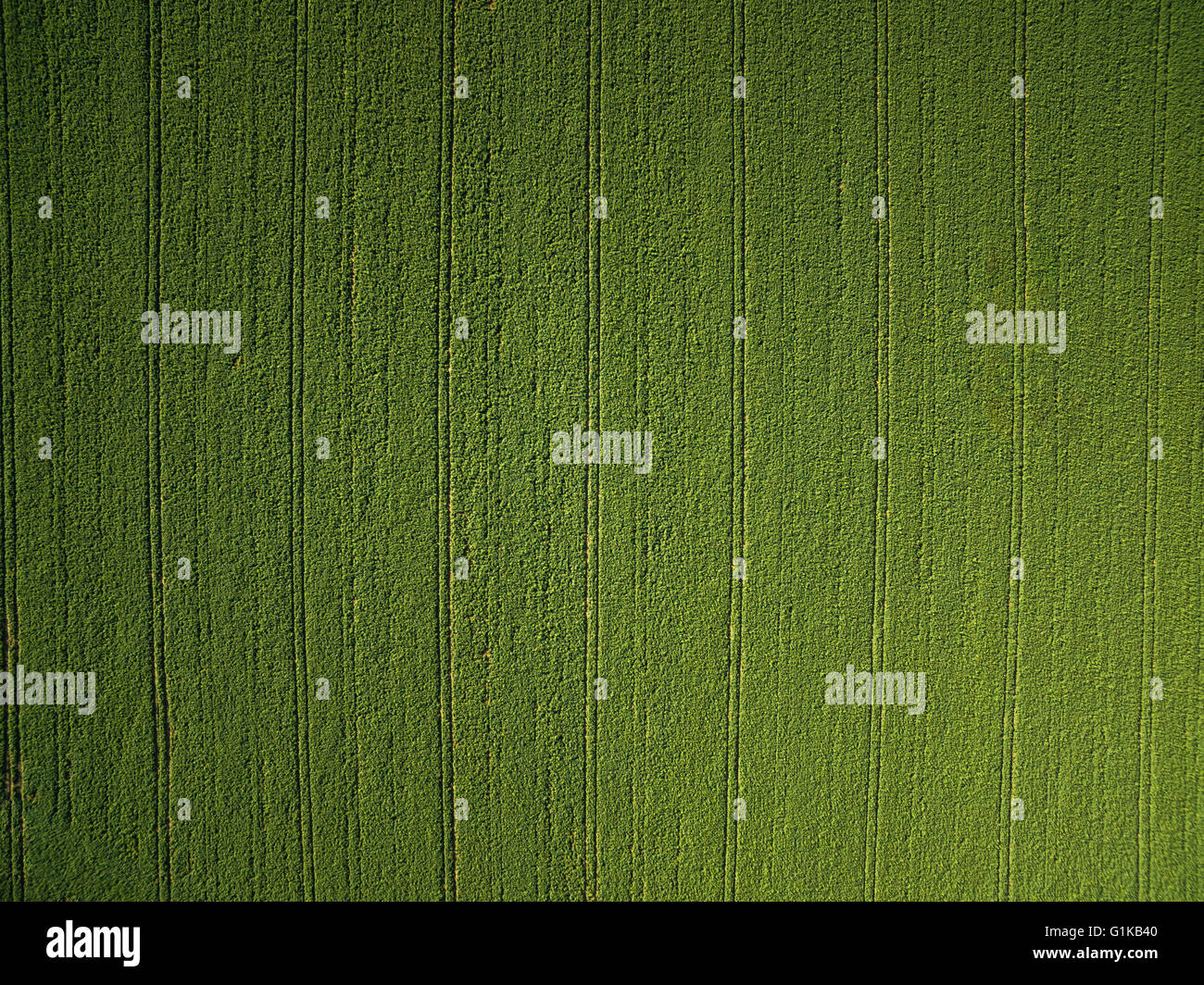 Farmland from above - aerial image of a lush green filed Stock Photo ...