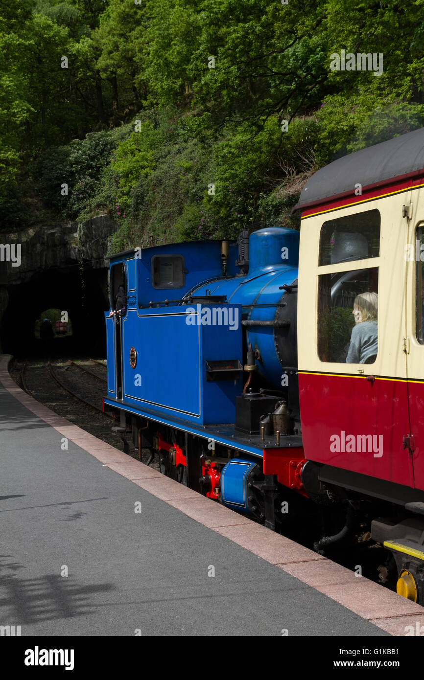 An industrial side tank locomotive in blue at the head of a passenger train at the Lakeside and Haverthwaite Railway Stock Photo