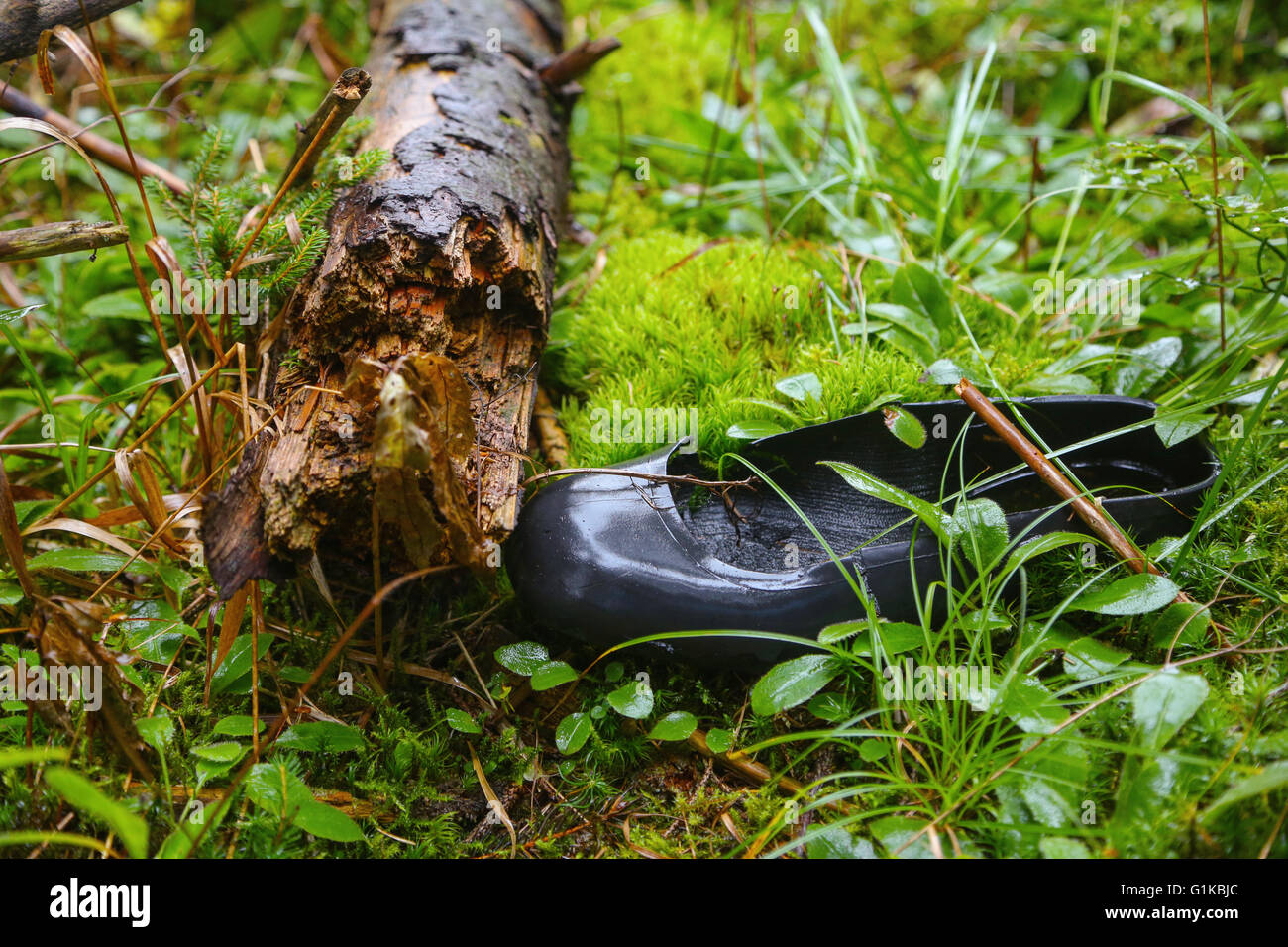 Lost in the Woods Down Snow Boots