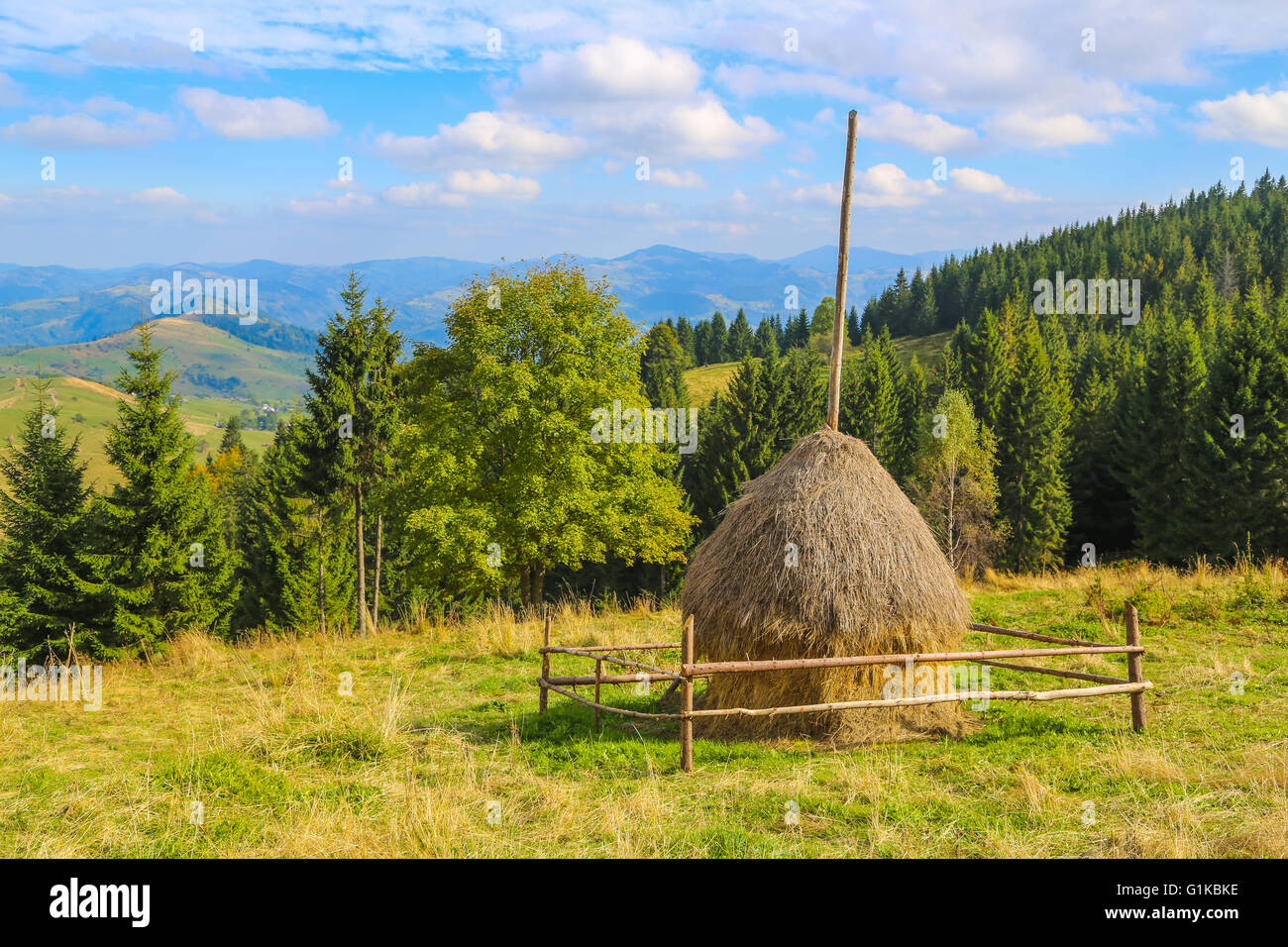 Building A Haystack High Resolution Stock Photography and Images - Alamy