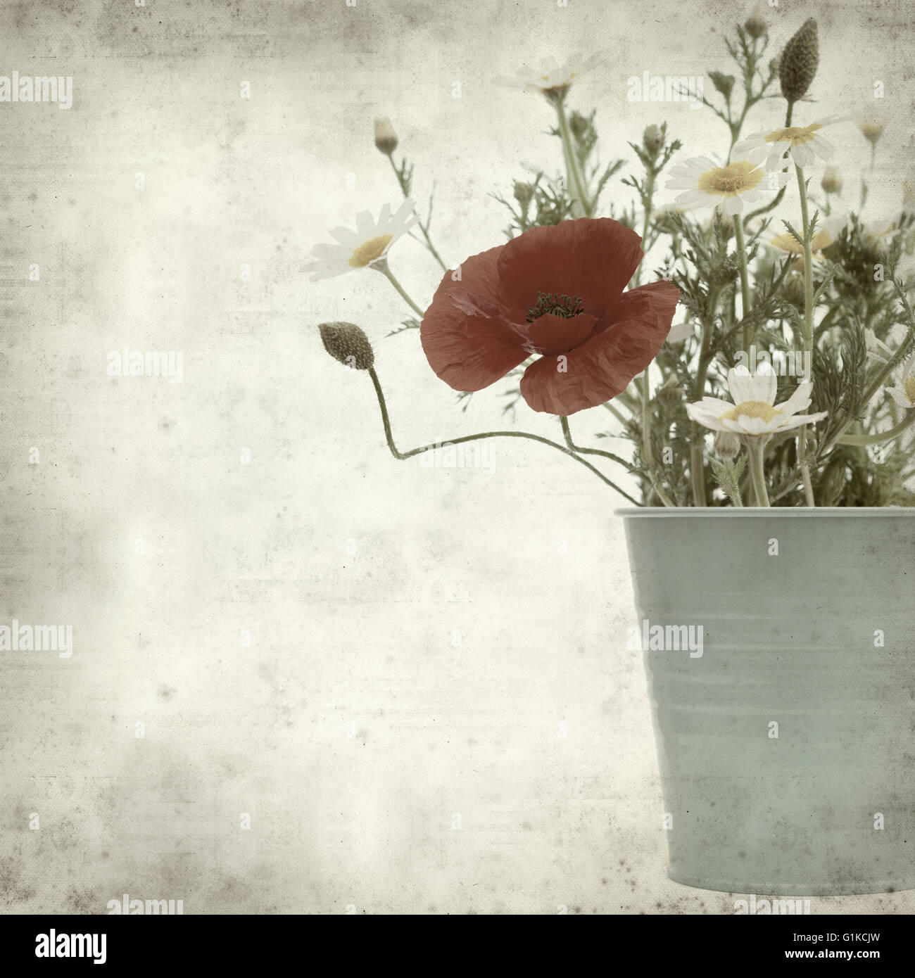textured old paper background with simple posy of daisies and poppy Stock Photo