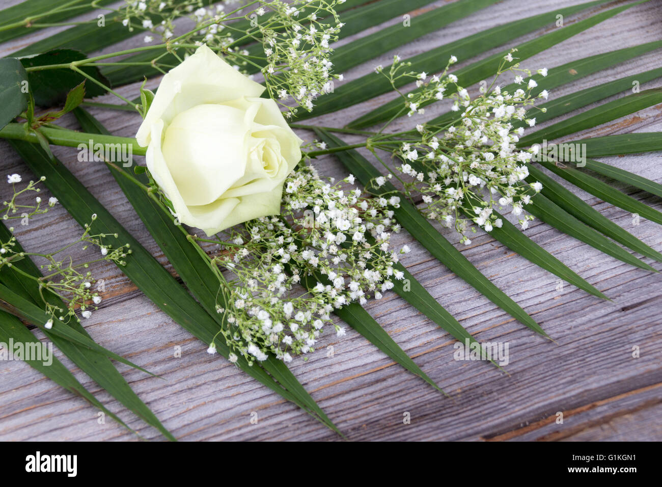 white rose flower on rustic wood table Stock Photo