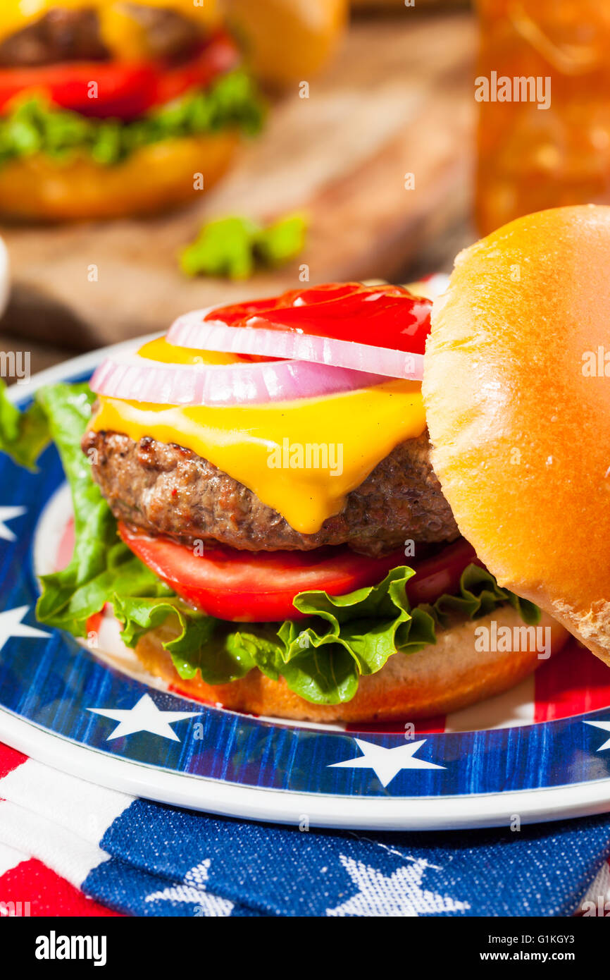 Homemade Memorial Day Hamburger Picnic with Chips and Fruit Stock Photo