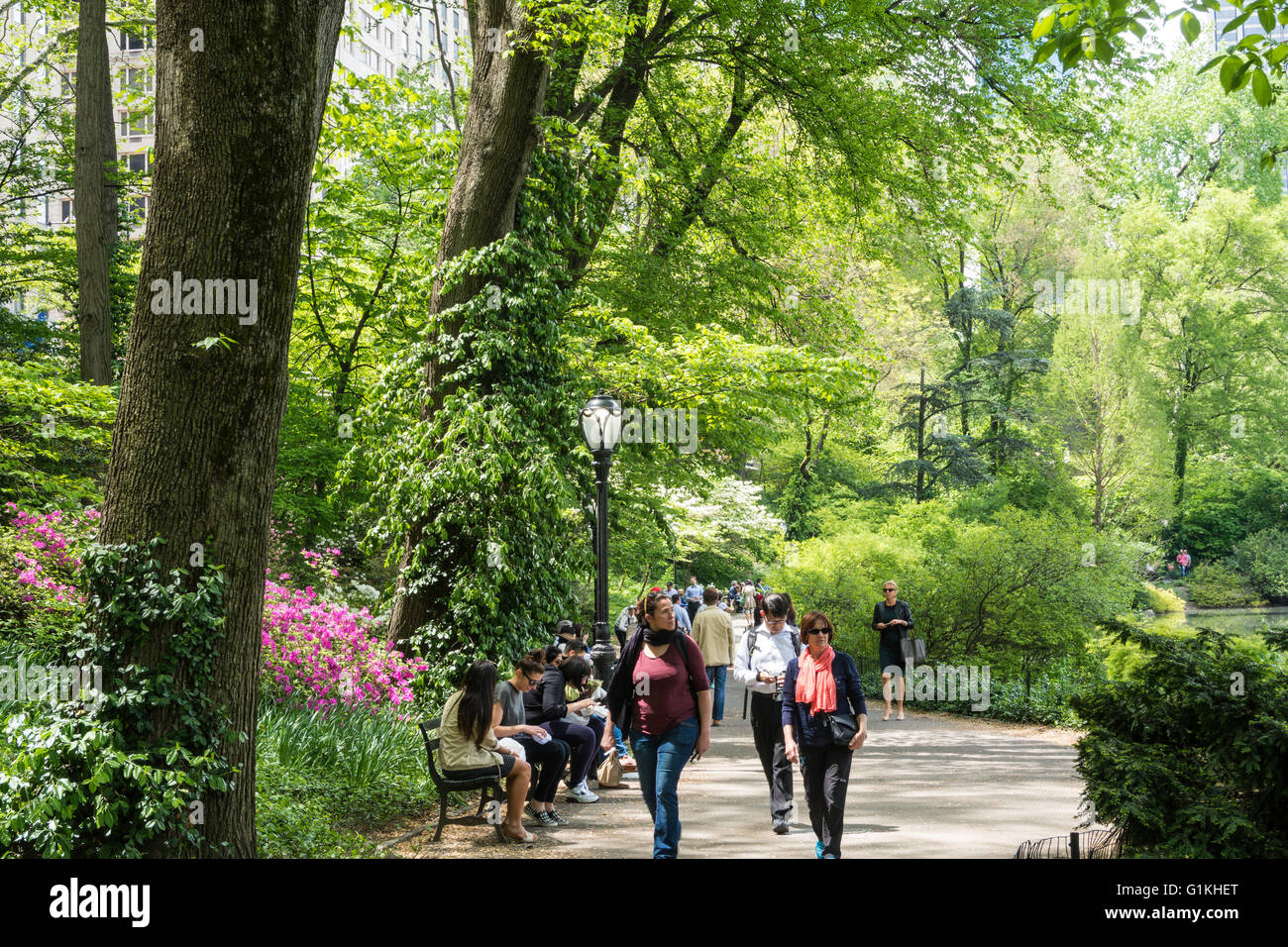 People enjoying pathway in Central Park, NYC Stock Photo Alamy