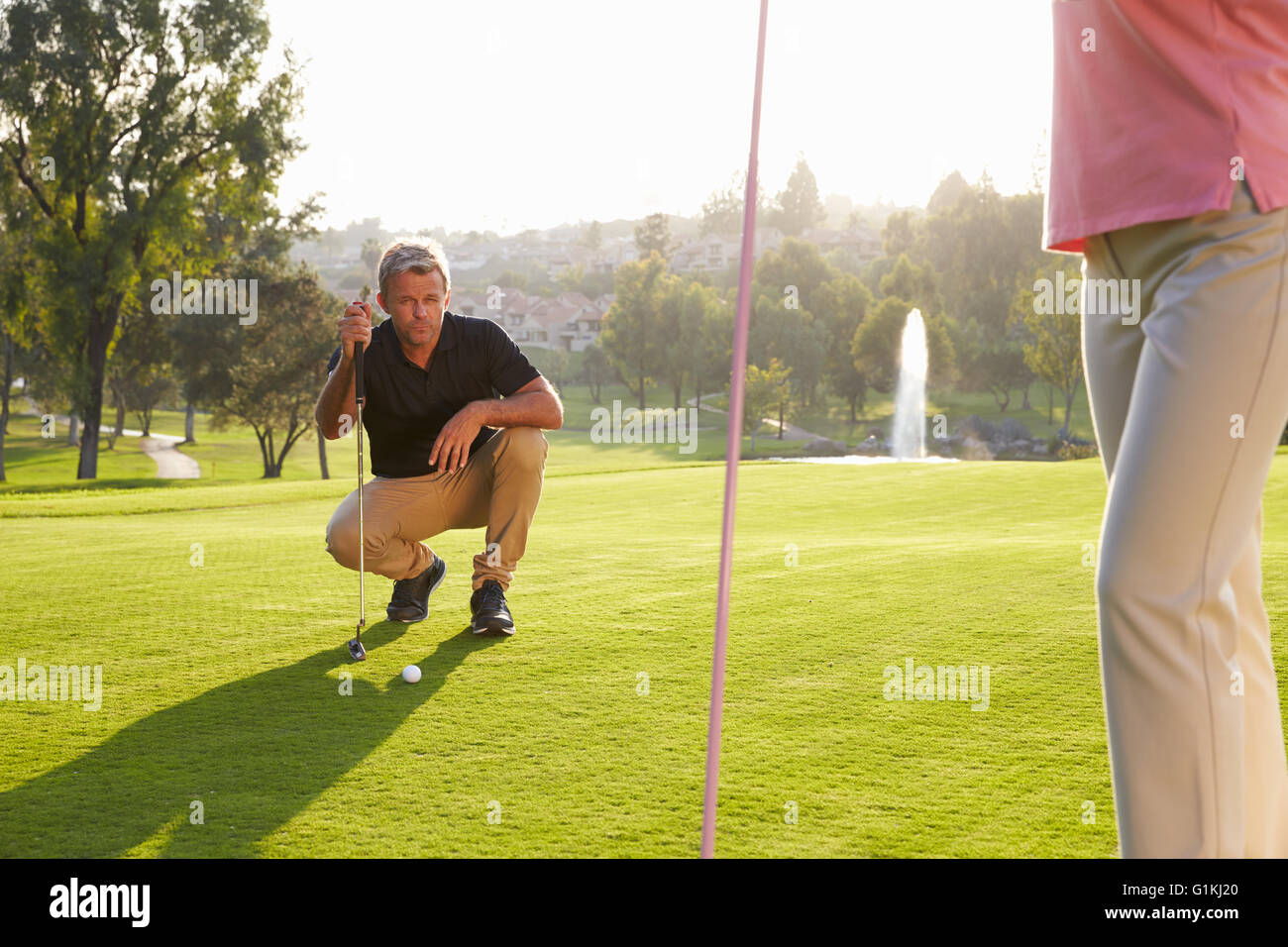Male Golfer Lining Up Putt On Green Stock Photo