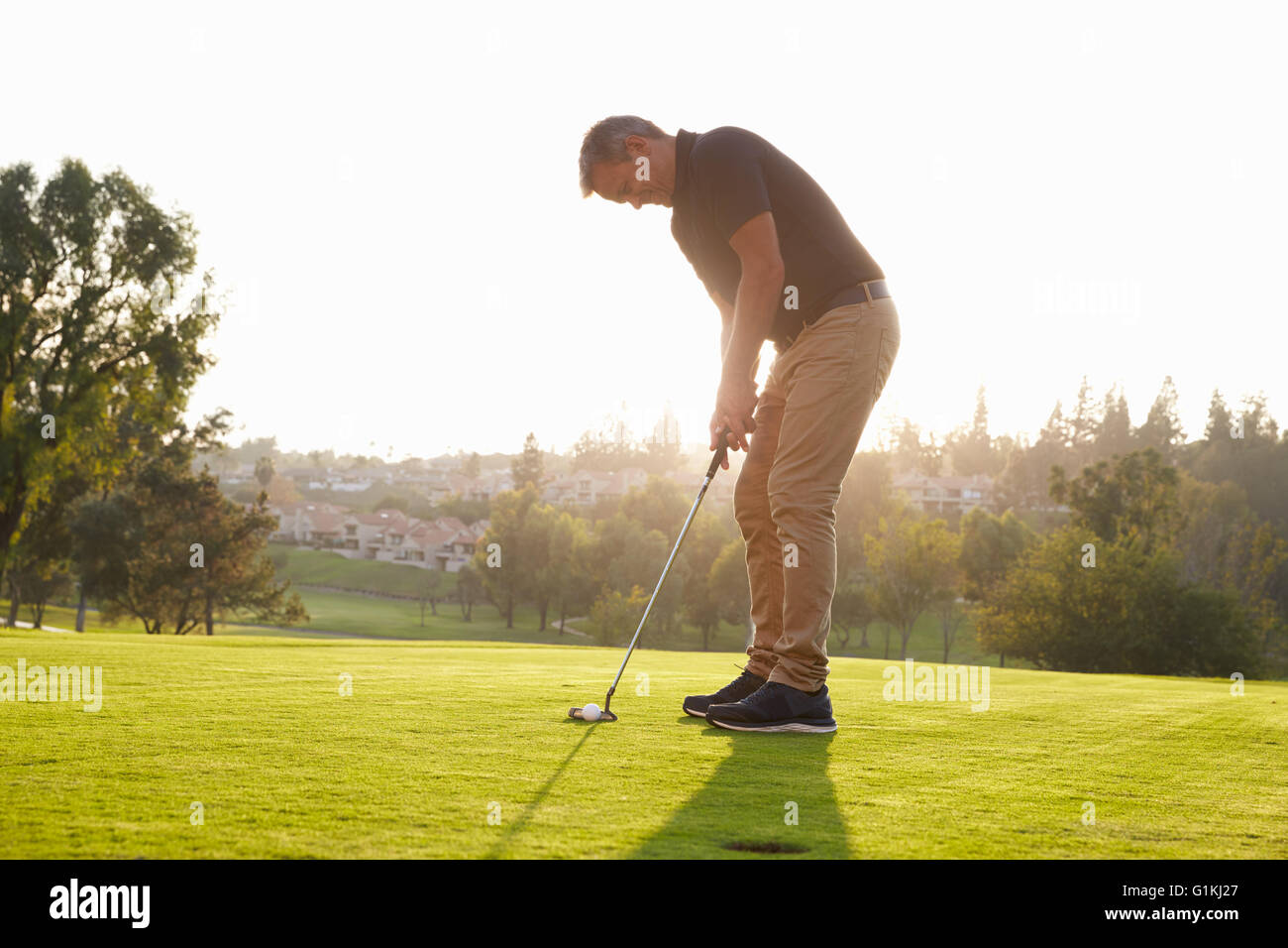 Male Golfer Lining Up Putt On Green Stock Photo