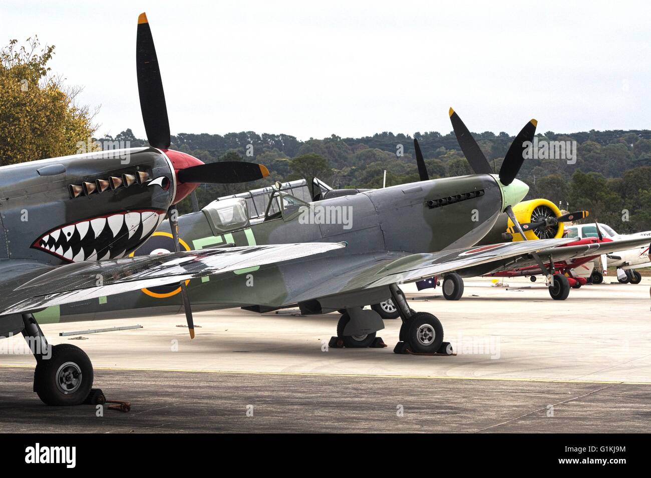 Supermarine Spitfire Mk.VIII with shark face painted on the front and Supermarine Spitfire Mk.XVI in the background, Tyabb. Stock Photo