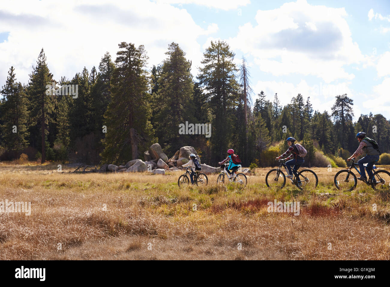 Family mountain biking in countryside, Big Bear, California Stock Photo