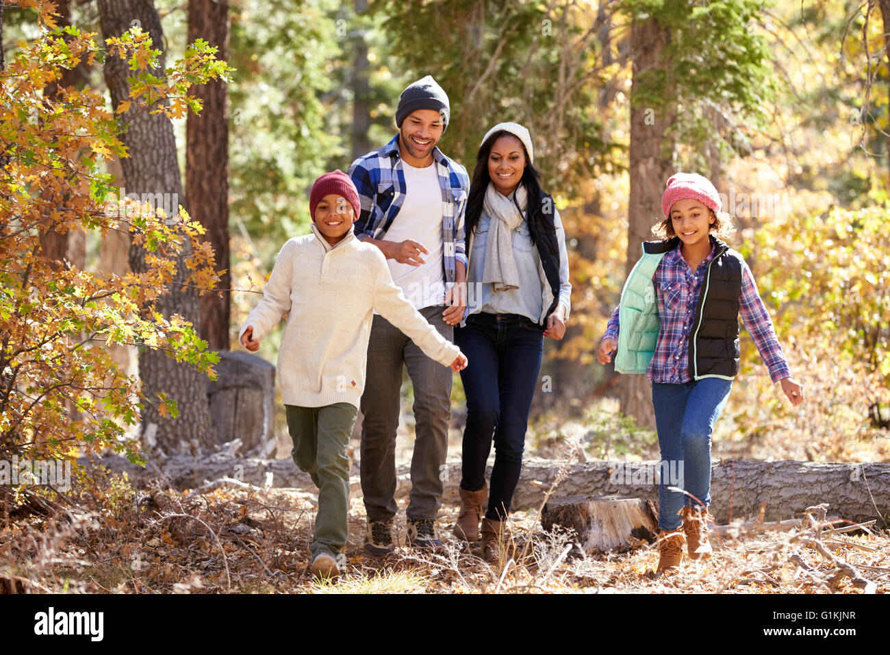 African American Family Walking Through Fall Woodland Stock Photo - Alamy, image size:1300x956