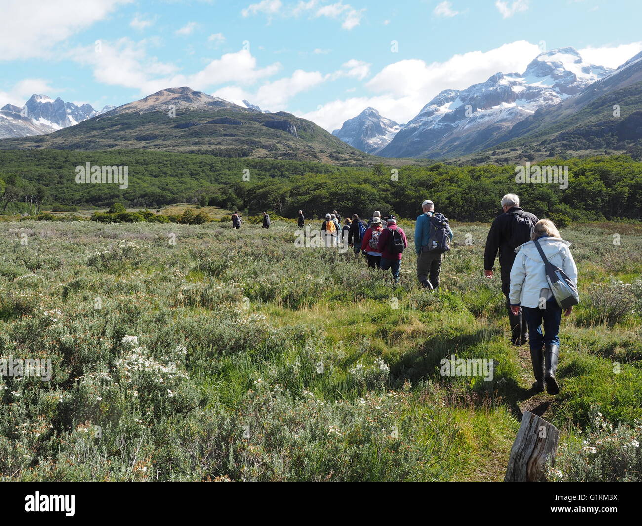 Andes wildflowers hi-res stock photography and images - Alamy