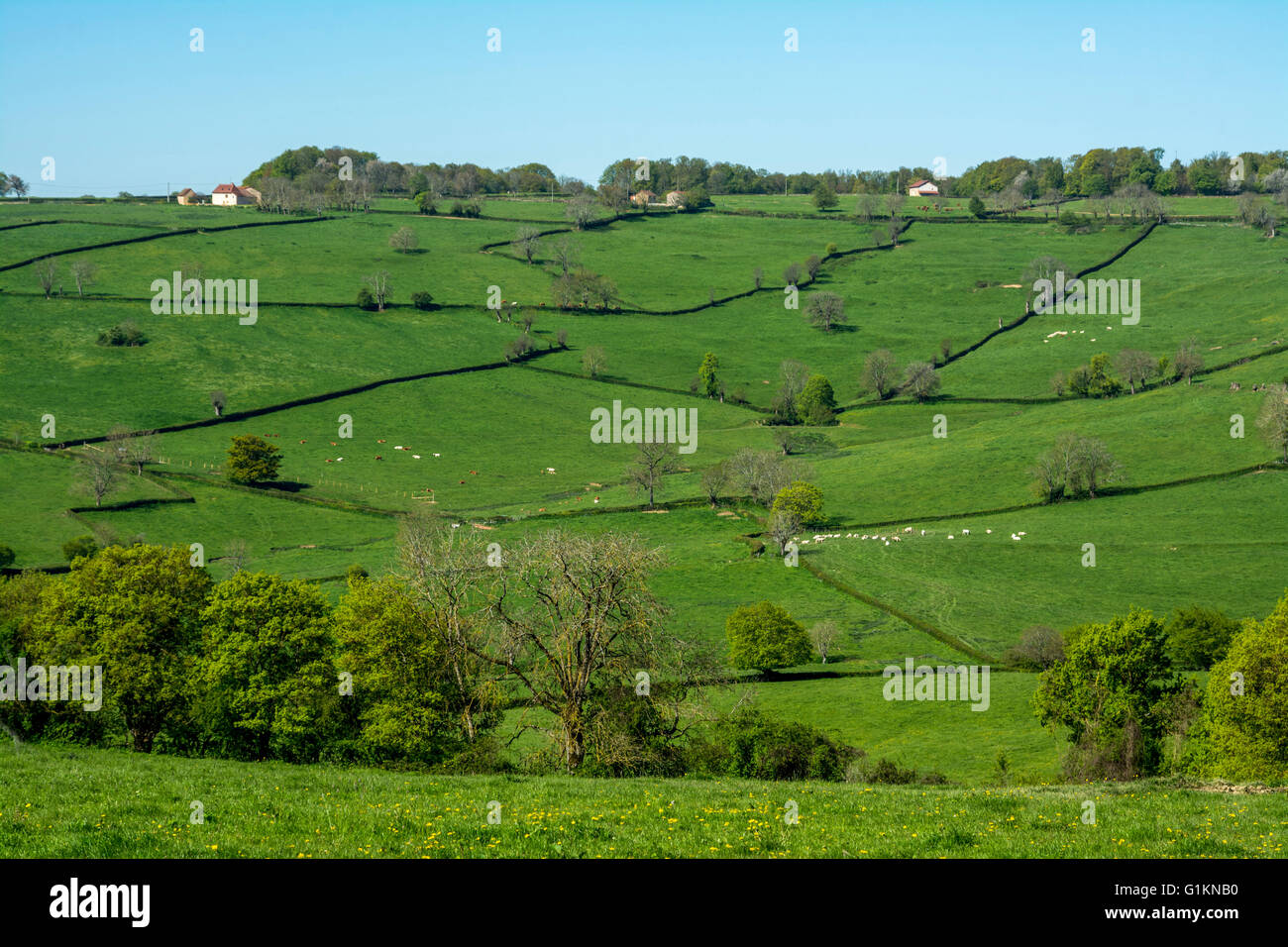 Countryside in Brionnais. Saône-et-Loire. Bourgogne-Franche-Comté. France Stock Photo