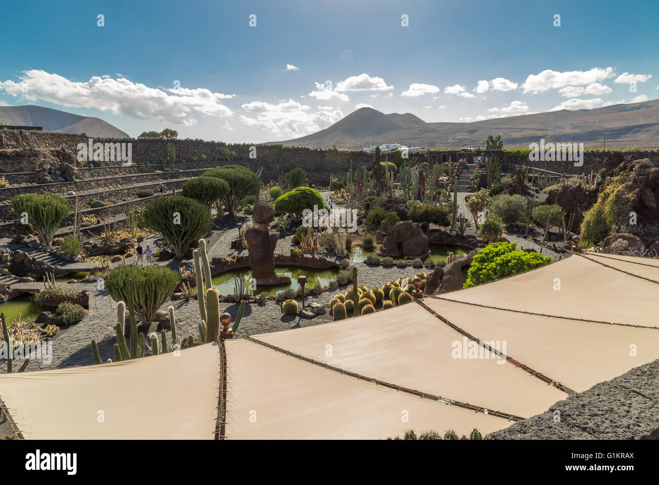 Lanzarote Cactus Garden. Designed by César Manrique. Stock Photo