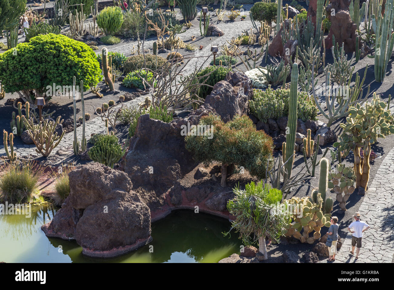 Lanzarote Cactus Garden. Designed by César Manrique. Stock Photo