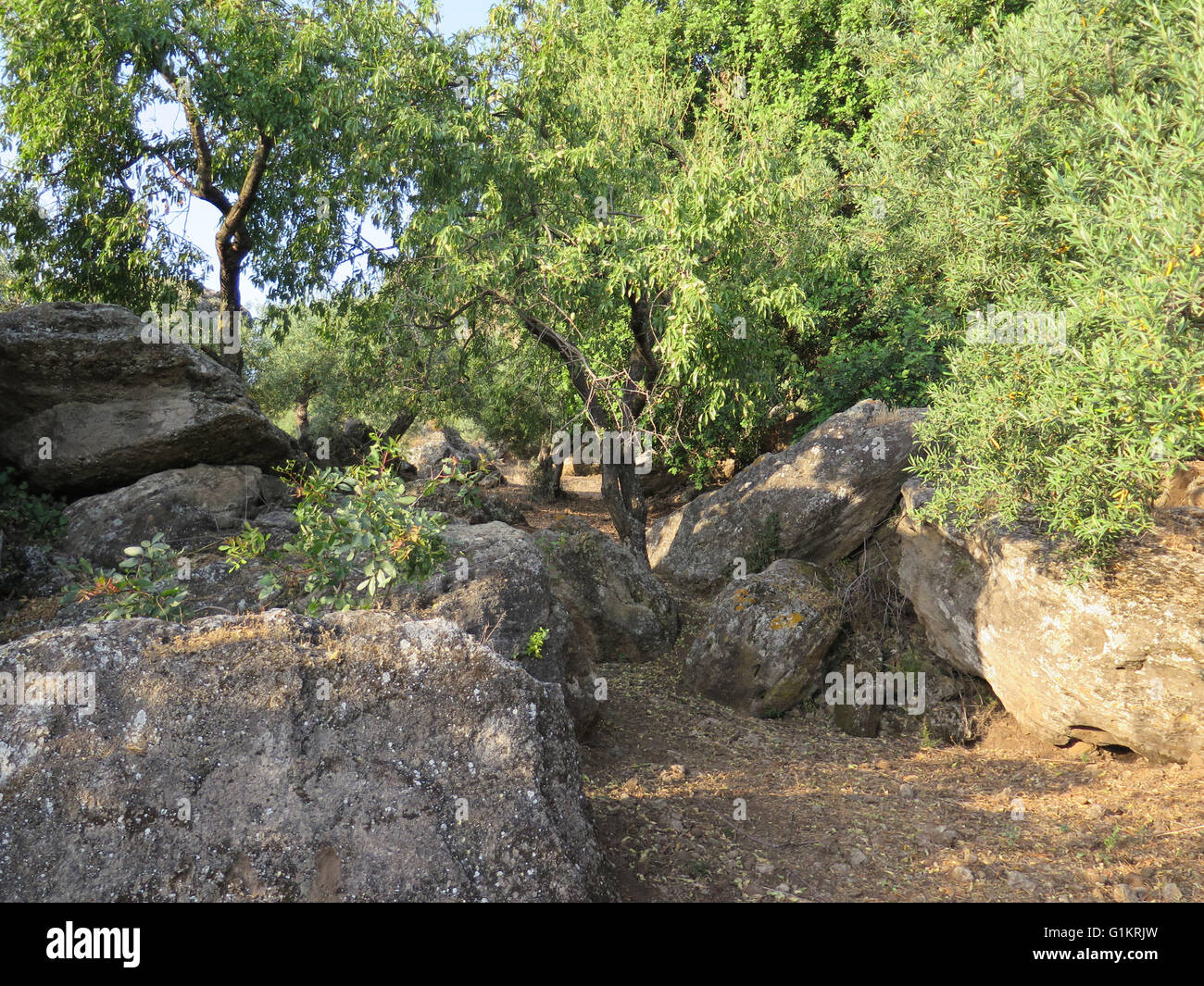 Secluded outdoor setting hi-res stock photography and images - Alamy