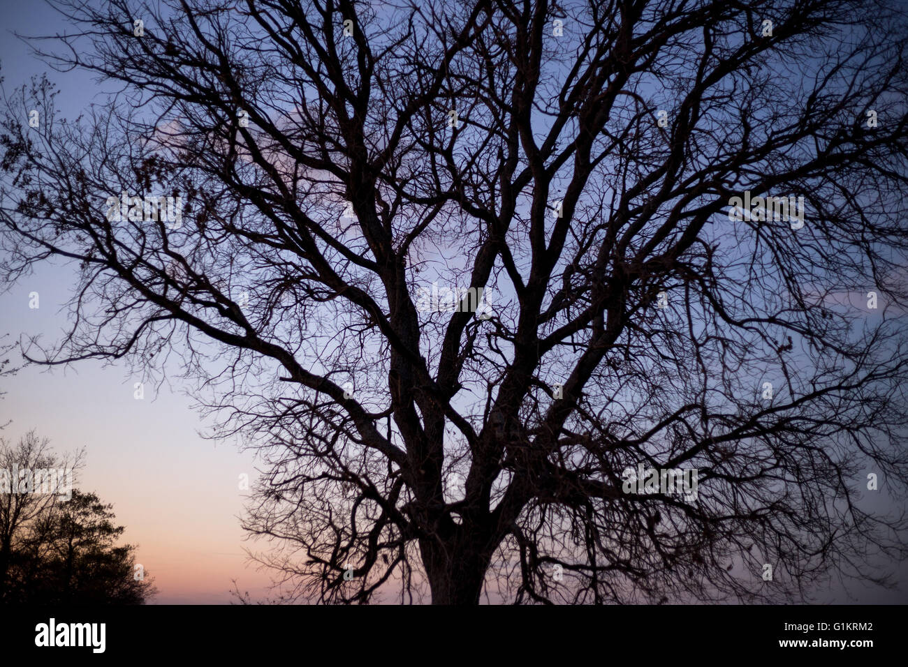 Impressive spring sunset. Venosa, Basilicata. Italy Stock Photo