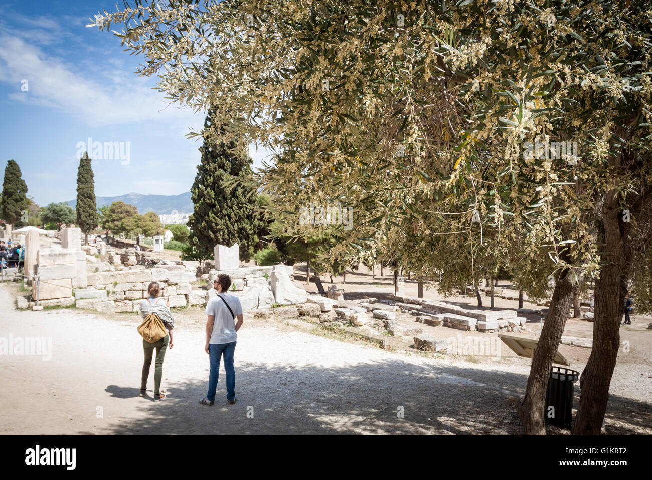 Tourists in the shade of an olive tree in the acropolis Greek. Athens