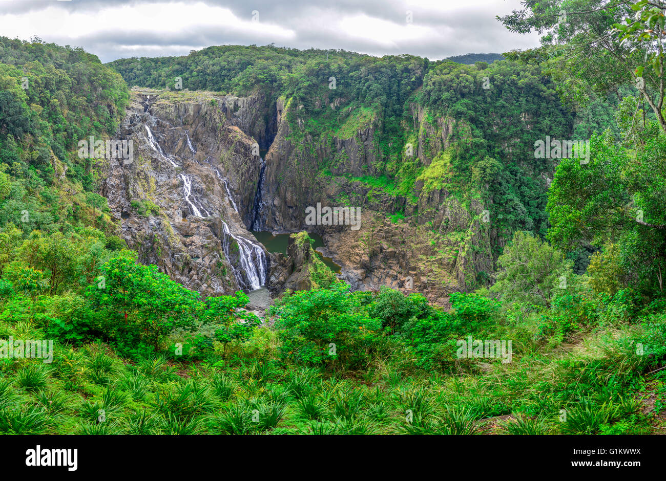 Barron falls in the queensland rainforest Stock Photo Alamy Barron falls in the queensland rainforest Stock Photo Alamy